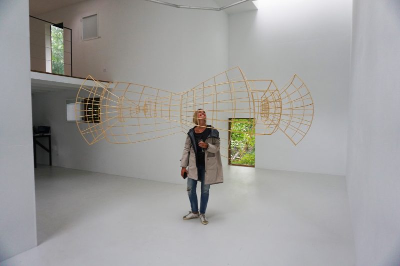 Open Universe at T Space