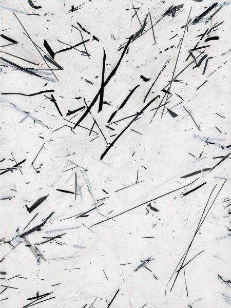 Eve Aschheim, detail of Hyperkinetic Static, 2016, gesso, ink and graphite on Mylar, 16 x 12 inches